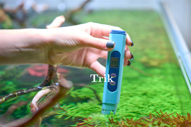 Alat Pengukur Kondisi Air yang Wajib Dimiliki Pemilik Akuarium